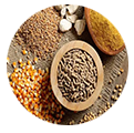 ANIMAL FEED RAW MATERIALS