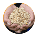 ANIMAL FEED PRODUCTION
