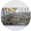 LIVESTOCK SYSTEM